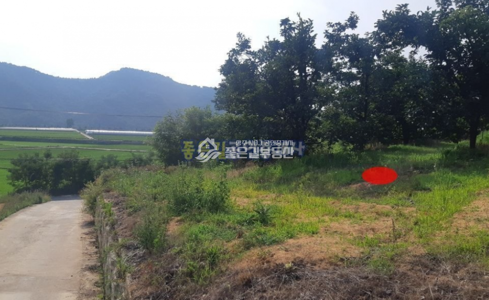 경북 상주시 중동면 죽암리 중동면 죽암리 낙동강인근 개발지(임 800평) 매매 매물번호 10476 사진 6