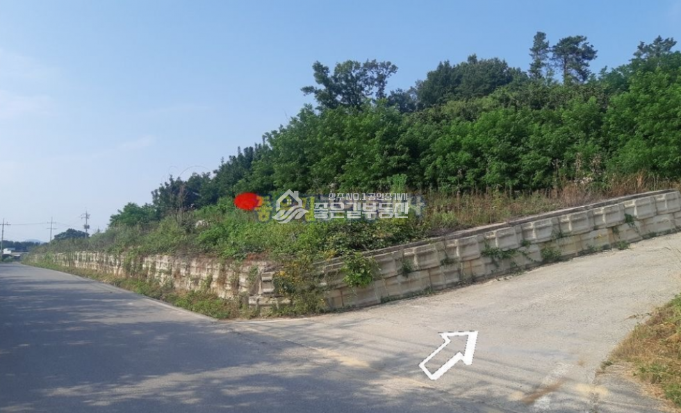 경북 상주시 중동면 죽암리 중동면 죽암리 낙동강인근 개발지(임 800평) 매매 매물번호 10476 사진 8