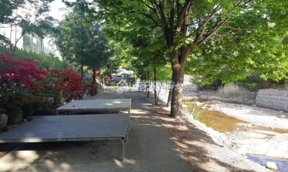 경북 상주시 화북면 중벌리 화북면 2차선도로변 맑은 계곡접한 펜션(부지917평,건118평) 매매 매물번호 10433 사진 12