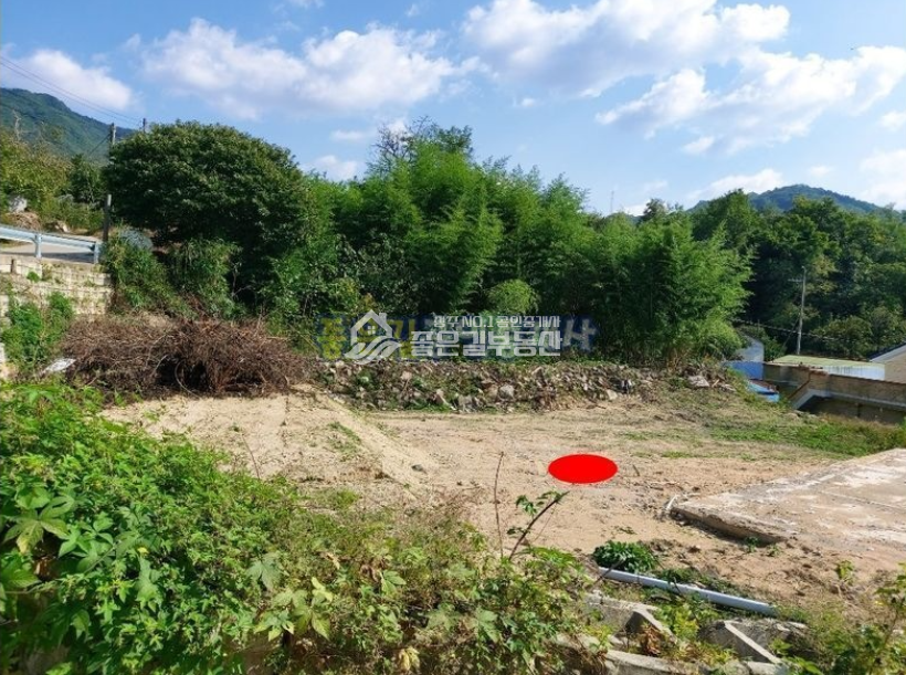 경북 상주시 청리면 마공리 청리면 마공리 마을안 집터(대 202평) 매매 매물번호 10354 사진 3
