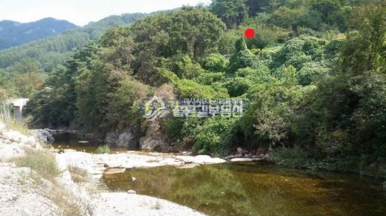 경북 상주시 화북면 상오리 상주시 화북면 상오리 계곡접(임 81,917평) 매매 매물번호 10042 사진 1
