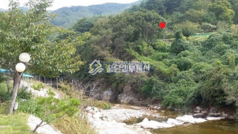 경북 상주시 화북면 상오리 상주시 화북면 상오리 계곡접(임 81,917평) 매매 매물번호 10042 사진 2