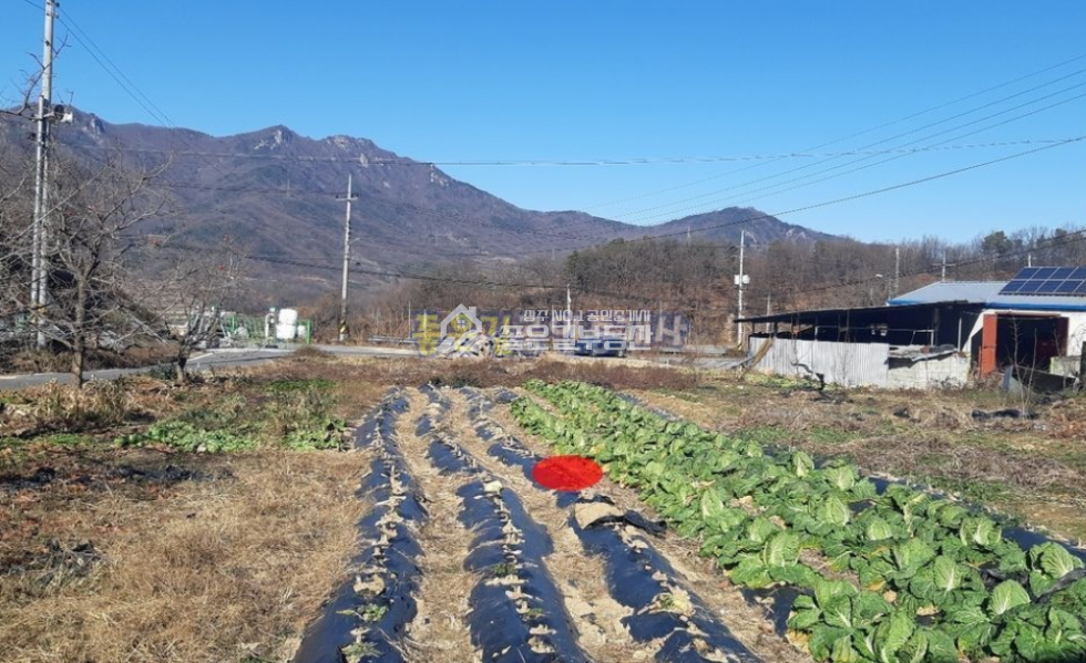 경북 상주시 낙동면 신오리 상주시 낙동면 산등성이 2차선도로접 대지 377평 매매 매물번호 10066 사진 1