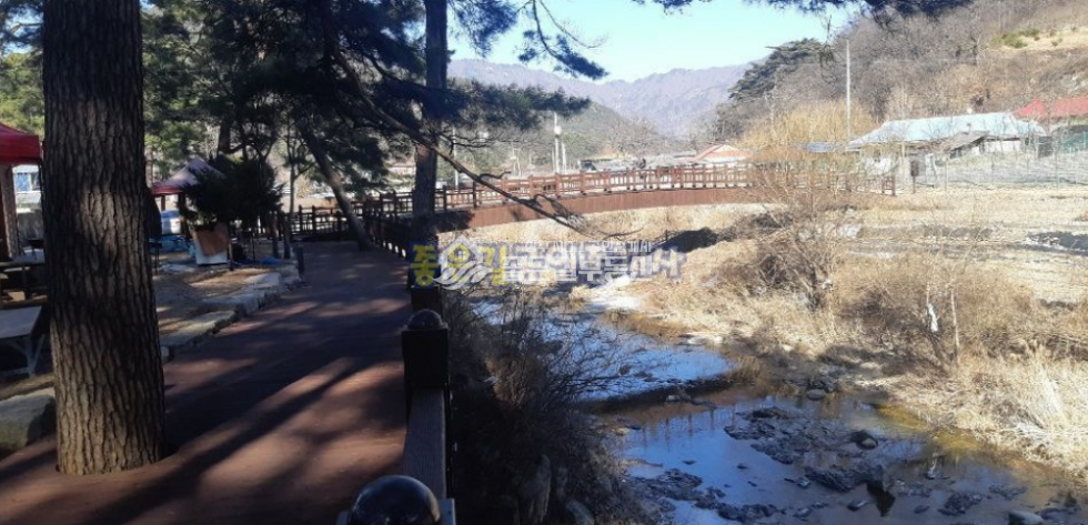 경북 상주시 화북면 용유리 상주시 화북면 계곡가 솔밭 아담한 펜션 매매 매물번호 10189 사진 5