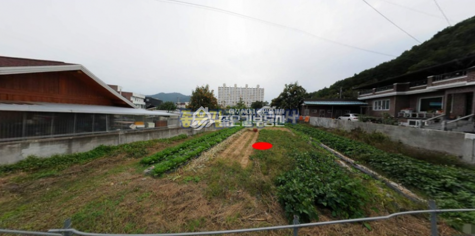 경북 상주시 신봉동 신봉동 동네안 넓은 대지 190평 매매 매물번호 10337 사진 1
