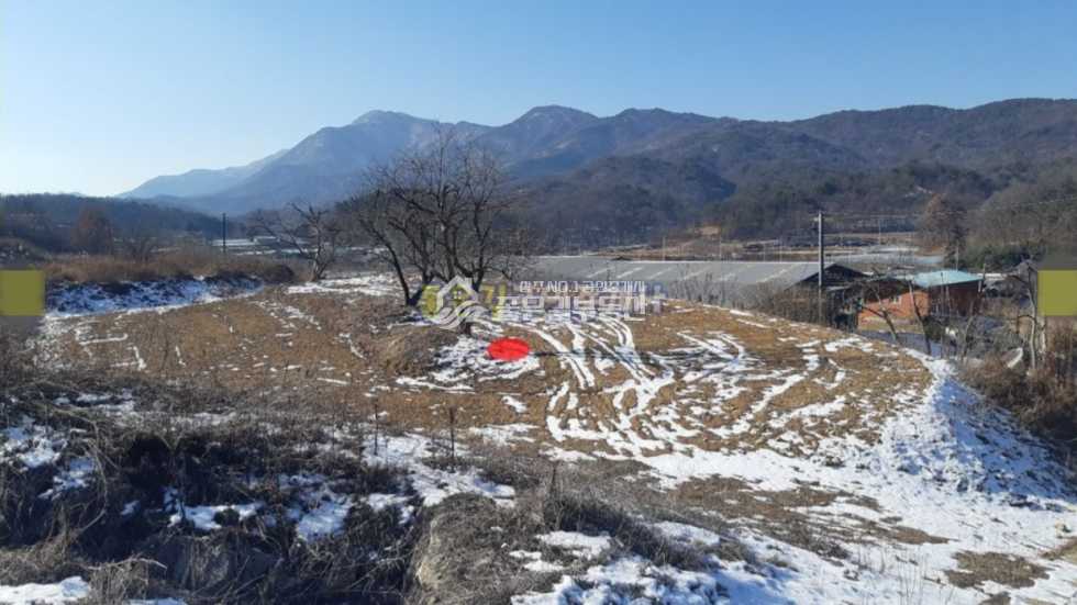 경북 상주시 외서면 봉강리 외서면 봉강리 대형개발지 7,263평 매매 매물번호 10739 사진 2