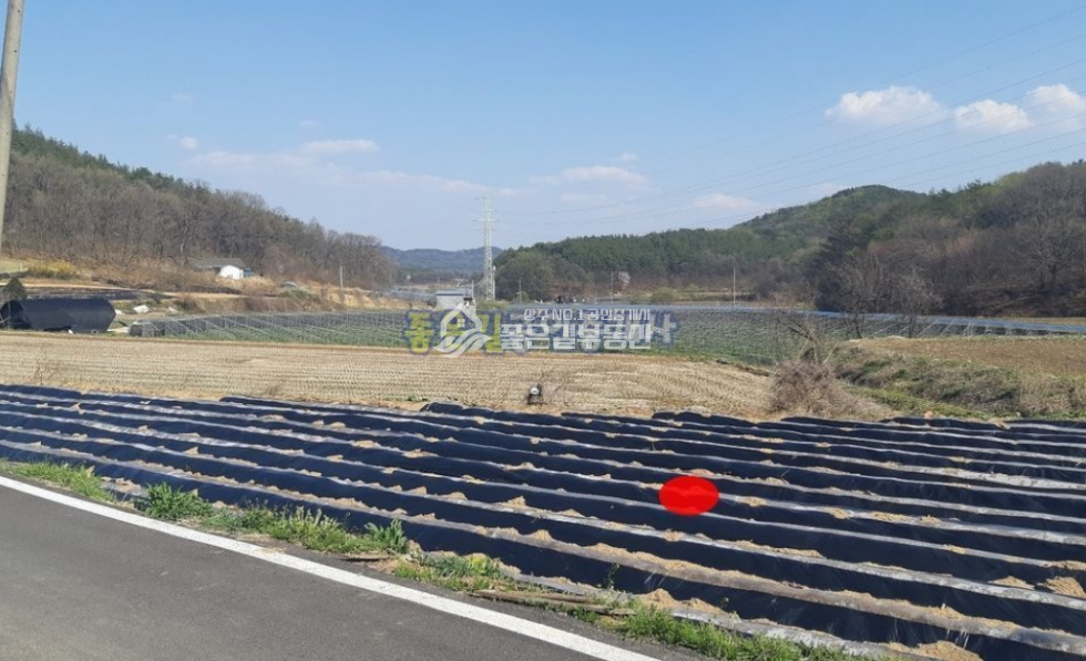 경북 상주시 화동면 반곡리 화동면 반곡리 작은 마을 앞 집터(전 459평) 매매 매물번호 10437 사진 3