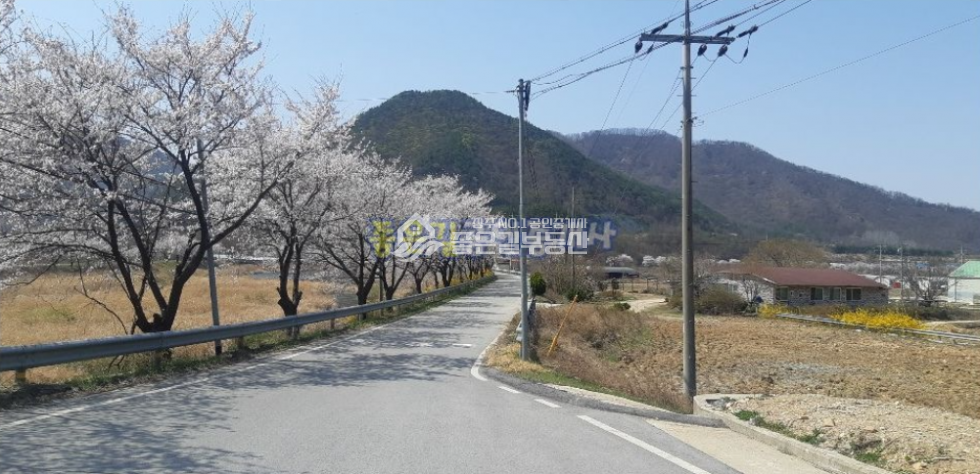 경북 상주시 내서면 신촌리 내서면 하천 뚝방 벚꽃길 전원주택(부지1,065평,건60평) 매매 매물번호 10167 사진 1