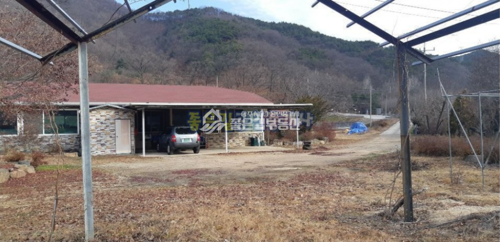 경북 상주시 내서면 신촌리 내서면 하천 뚝방 벚꽃길 전원주택(부지1,065평,건60평) 매매 매물번호 10167 사진 4