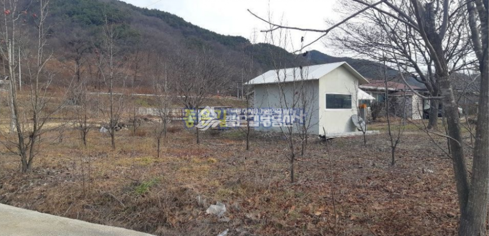 경북 상주시 내서면 신촌리 내서면 하천 뚝방 벚꽃길 전원주택(부지1,065평,건60평) 매매 매물번호 10167 사진 5