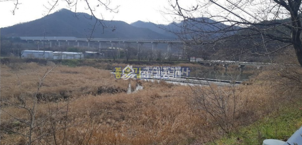 경북 상주시 내서면 신촌리 내서면 하천 뚝방 벚꽃길 전원주택(부지1,065평,건60평) 매매 매물번호 10167 사진 6