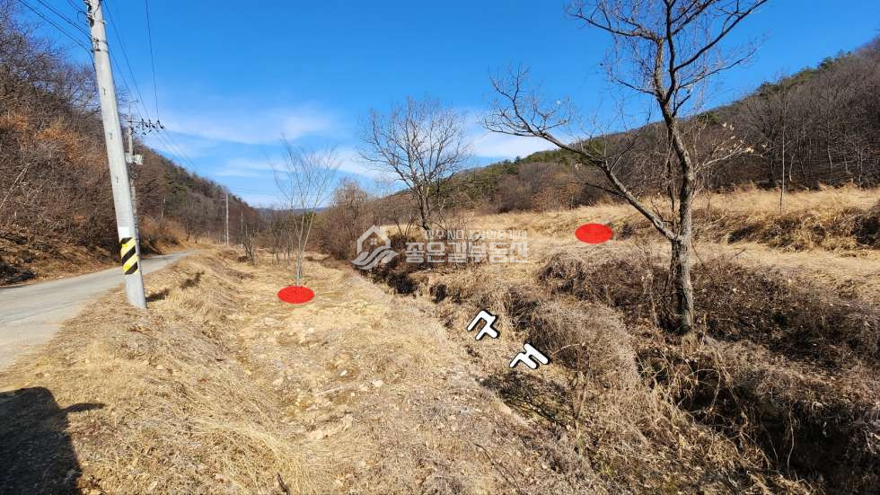 경북 상주시 내서면 노류리 내서면 능암리 외딴 산골 보전관리지역 2,255평 매매 매물번호 10779 사진 4