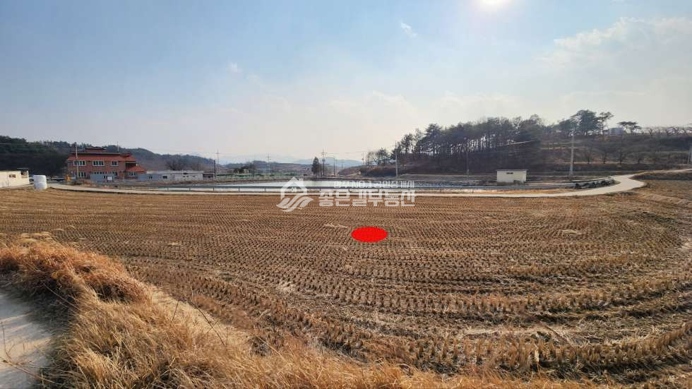 경북 상주시 사벌국면 덕담리 사벌국면 덕담리 저수지가 계획관리 개발지(답 753평) 매매 매물번호 10788 사진 1