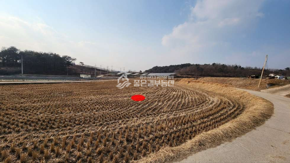경북 상주시 사벌국면 덕담리 사벌국면 덕담리 저수지가 계획관리 개발지(답 753평) 매매 매물번호 10788 사진 2