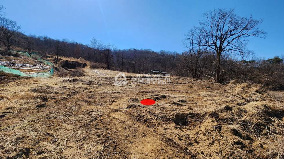 경북 상주시 지천동 지천동 갑장산밑자락 개발지(전 74평) 매매 매물번호 10811 사진 3