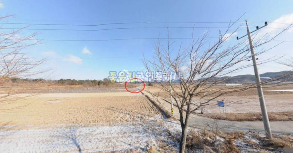 경북 상주시 중동면 죽암리 중동면 죽암리 낙동강인근 생산관리 전 1,207평 매매 매물번호 10669 사진 3