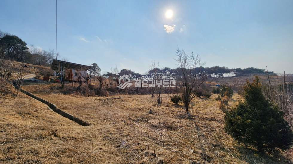 경북 상주시 화산동 화산동 언덕위 자연녹지 개발지(전 1,879평) 매매 매물번호 10790 사진 6