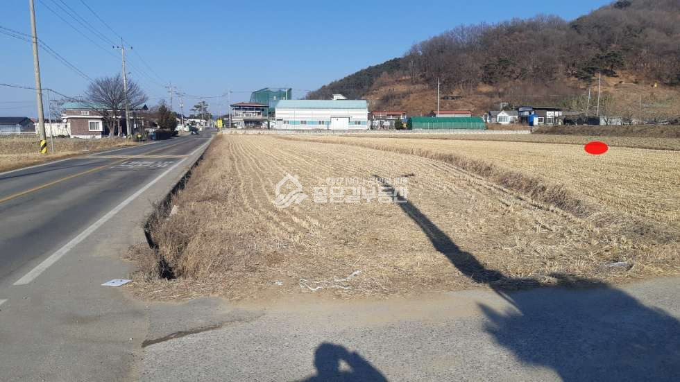경북 상주시 서곡동 서곡동 계획관리지역 개발지(답 1,410평) 매매 매물번호 10836 사진 4