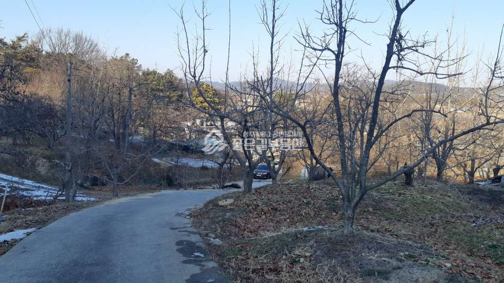 경북 상주시 사벌국면 금흔리 사벌국면 금흔리 계획관리 감나무밭 1,362평) 매매 매물번호 10840 사진 1