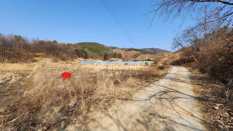 경북 상주시 내서면 낙서리 내서면 낙서리 계획관리 답 1,507평 매매 매물번호 10574 사진 4