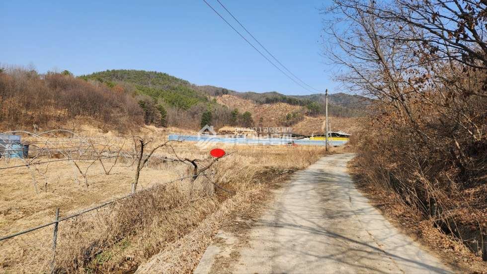 경북 상주시 내서면 낙서리 내서면 낙서리 계획관리 답 1,507평 매매 매물번호 10574 사진 5