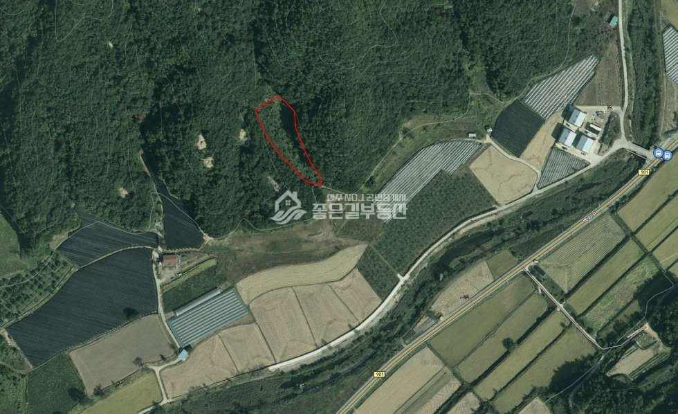 경북 상주시 모서면 정산리 모서면 정산리 보전관리 전 759평 매매 매물번호 10864 사진 1