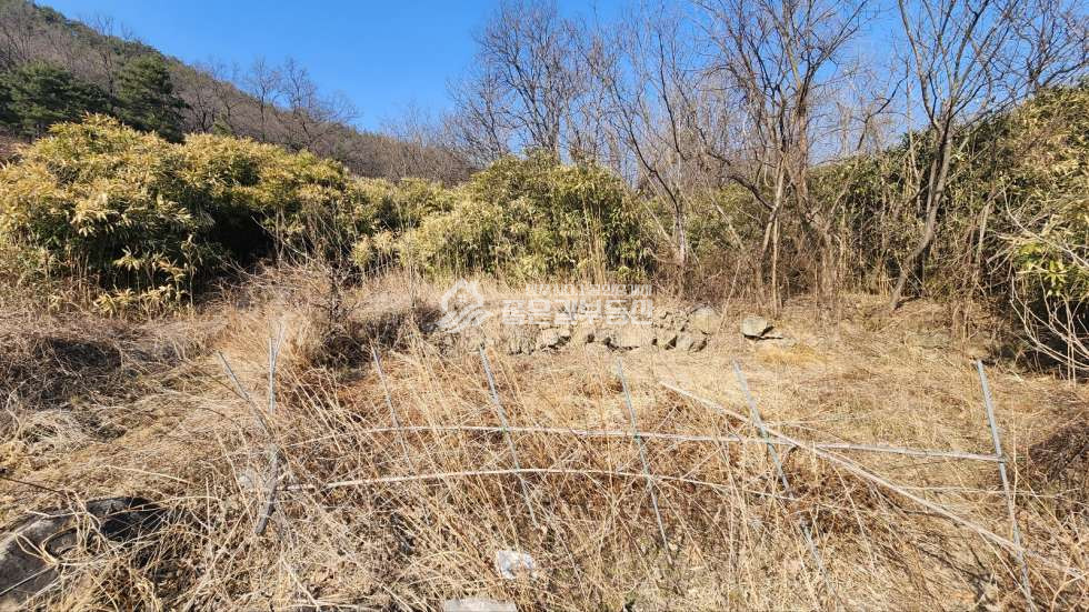 경북 상주시 청리면 하초리 청리면 하초리 마을뒤 산밑자락 개발지 739평 매매 매물번호 10865 사진 3