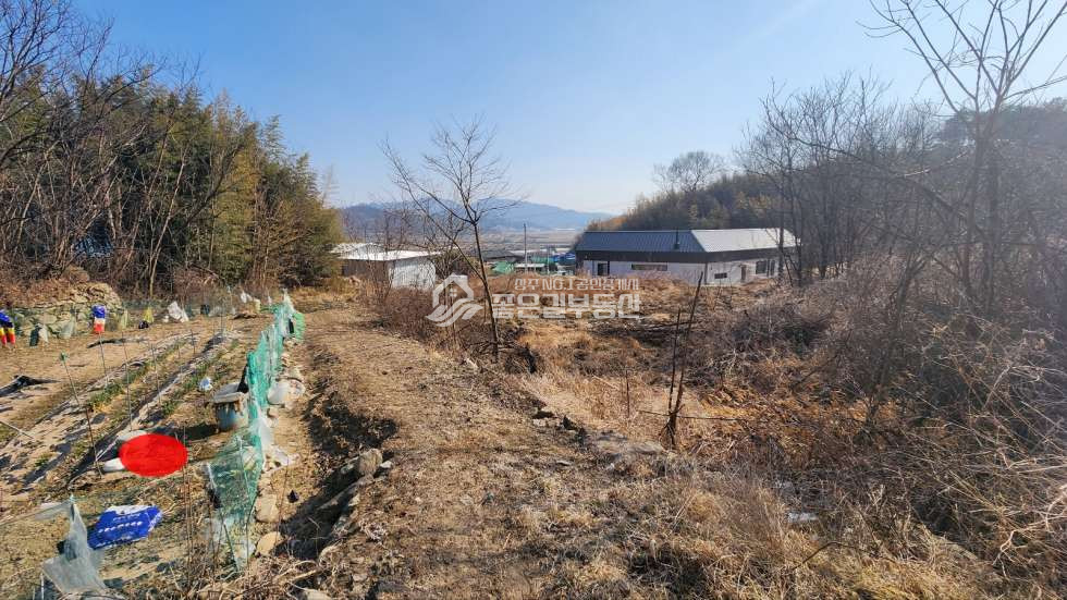경북 상주시 청리면 하초리 청리면 하초리 마을뒤 산밑자락 개발지 739평 매매 매물번호 10865 사진 4