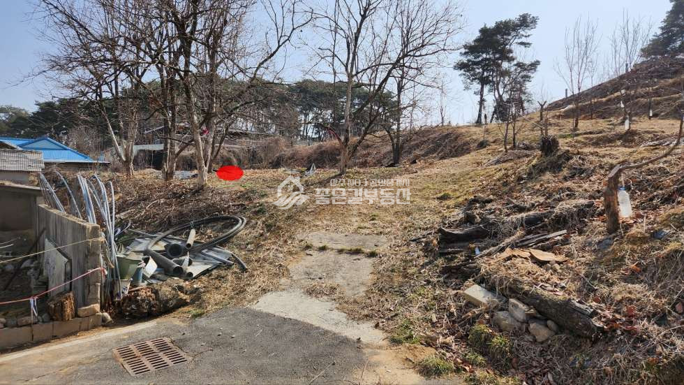 경북 상주시 사벌국면 삼덕리 사벌국면 삼덕리 마을뒷산 개발지(임 210평) 매매 매물번호 10793 사진 4