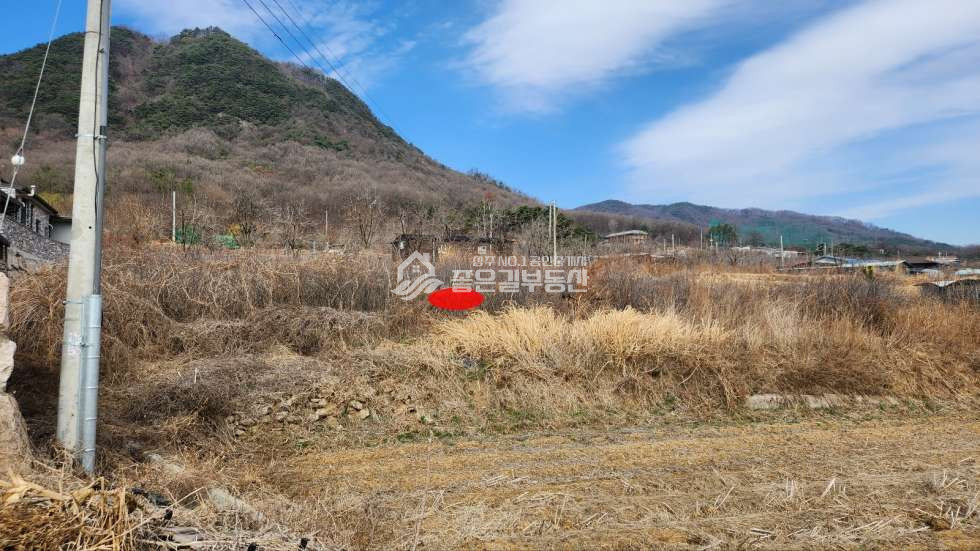 경북 상주시 만산동 만산동 전원주택단지내 개발지(전 360평) 매매 매물번호 10880 사진 2