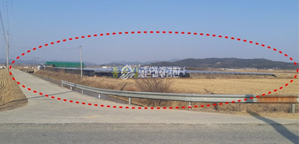 경북 상주시 사벌국면 원흥리 사벌국면 원흥뜰 대형 포도밭(답 3,025평) 매매 매물번호 10184 사진 1