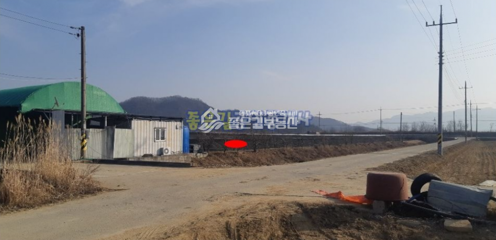 경북 상주시 사벌국면 원흥리 사벌국면 원흥뜰 대형 포도밭(답 3,025평) 매매 매물번호 10184 사진 3