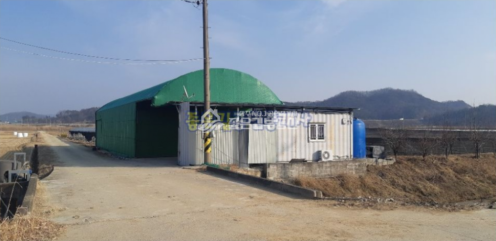 경북 상주시 사벌국면 원흥리 사벌국면 원흥뜰 대형 포도밭(답 3,025평) 매매 매물번호 10184 사진 4