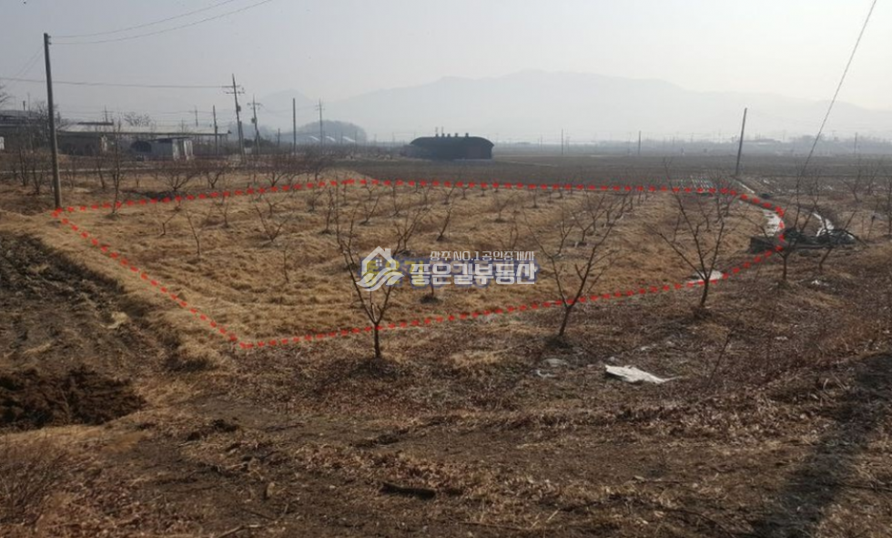 경북 상주시 외남면 신상리 외남면 소상리 농지,농가주택지(답 724평) 매매 매물번호 10093 사진 5
