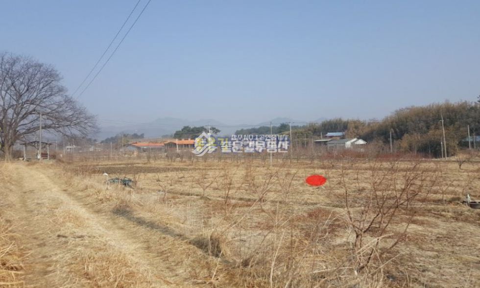 경북 상주시 외남면 신상리 외남면 소상리 농지,농가주택지(답 724평) 매매 매물번호 10093 사진 6