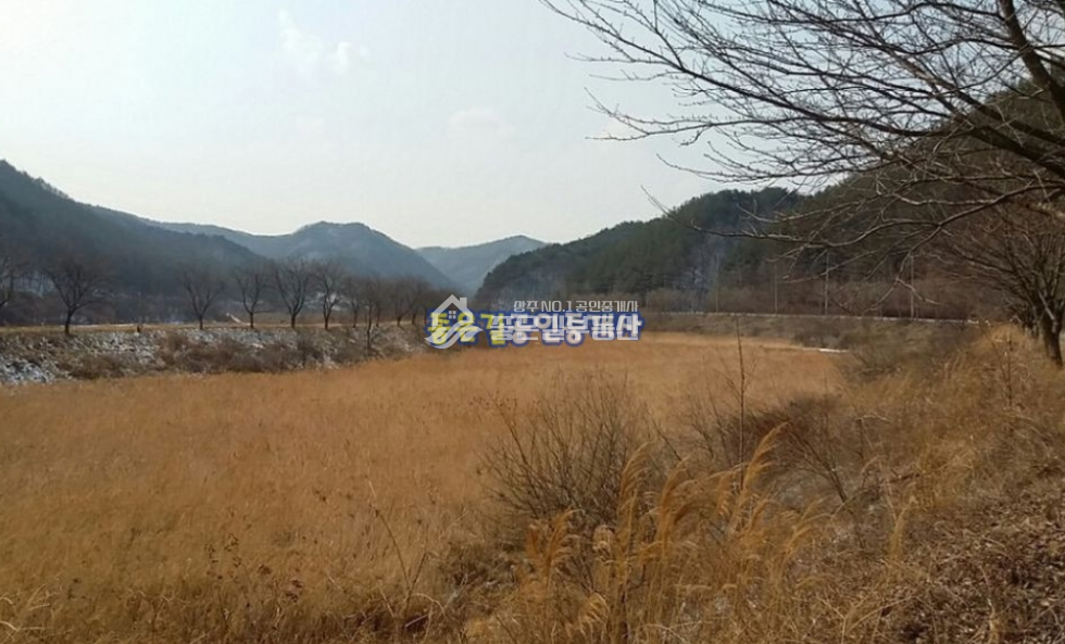 경북 상주시 모서면 도안리 모서면 도안리 전 2,006평 매매 매물번호 10085 사진 3