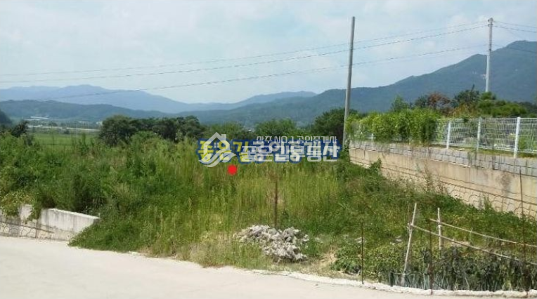 경북 상주시 공성면 용안리 상주시 공성면 작은마을안 전원주택지(임 131평) 매매 매물번호 10045 사진 1