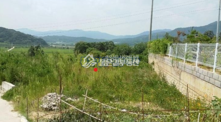 경북 상주시 공성면 용안리 상주시 공성면 작은마을안 전원주택지(임 131평) 매매 매물번호 10045 사진 3