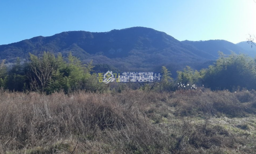경북 상주시 낙동면 비룡리 낙동면 비룡리 계획관리 개발지(답 631평) 매매 매물번호 10708 사진 3