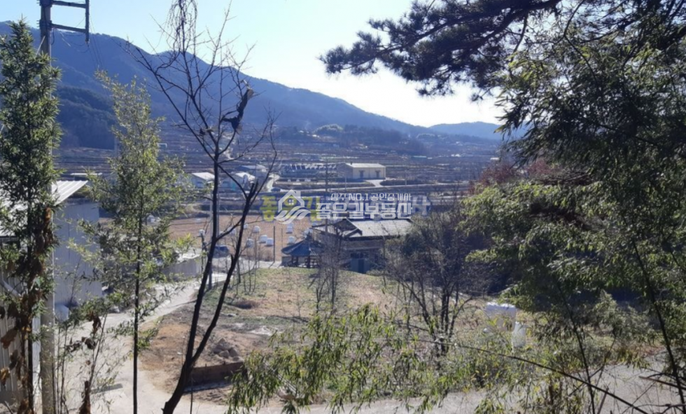 경북 상주시 낙동면 비룡리 낙동면 비룡리 계획관리 개발지(답 631평) 매매 매물번호 10708 사진 7