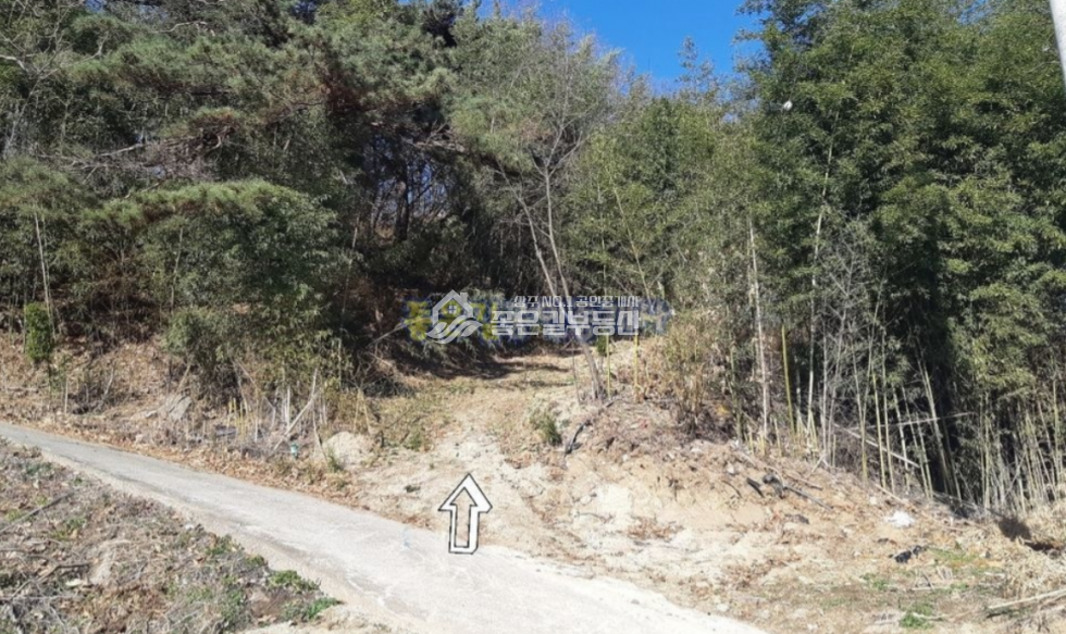 경북 상주시 낙동면 비룡리 낙동면 비룡리 계획관리 개발지(답 631평) 매매 매물번호 10708 사진 8
