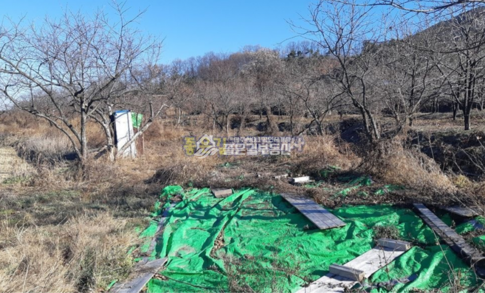 경북 상주시 낙동면 신오리 낙동면 외딴곳 계획관리 감나무밭 955평 매매 매물번호 10706 사진 2