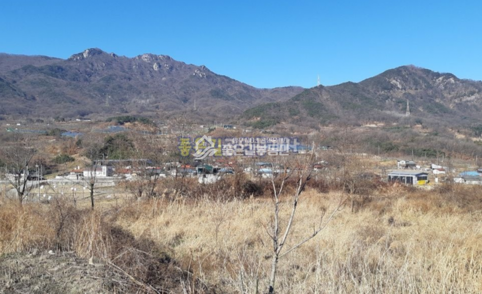 경북 상주시 낙동면 신오리 낙동면 외딴곳 계획관리 감나무밭 955평 매매 매물번호 10706 사진 4