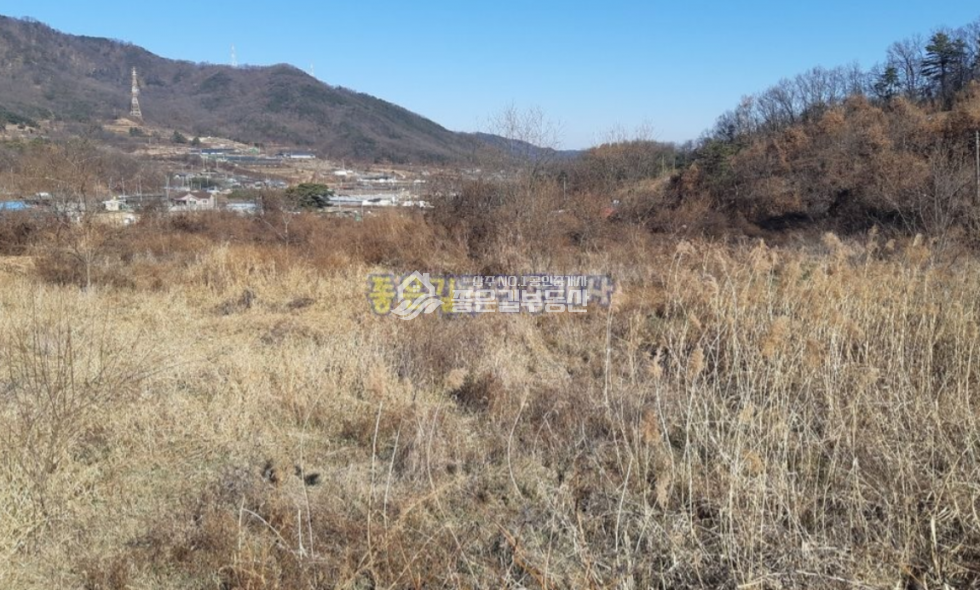 경북 상주시 낙동면 신오리 낙동면 외딴곳 계획관리 감나무밭 955평 매매 매물번호 10706 사진 6