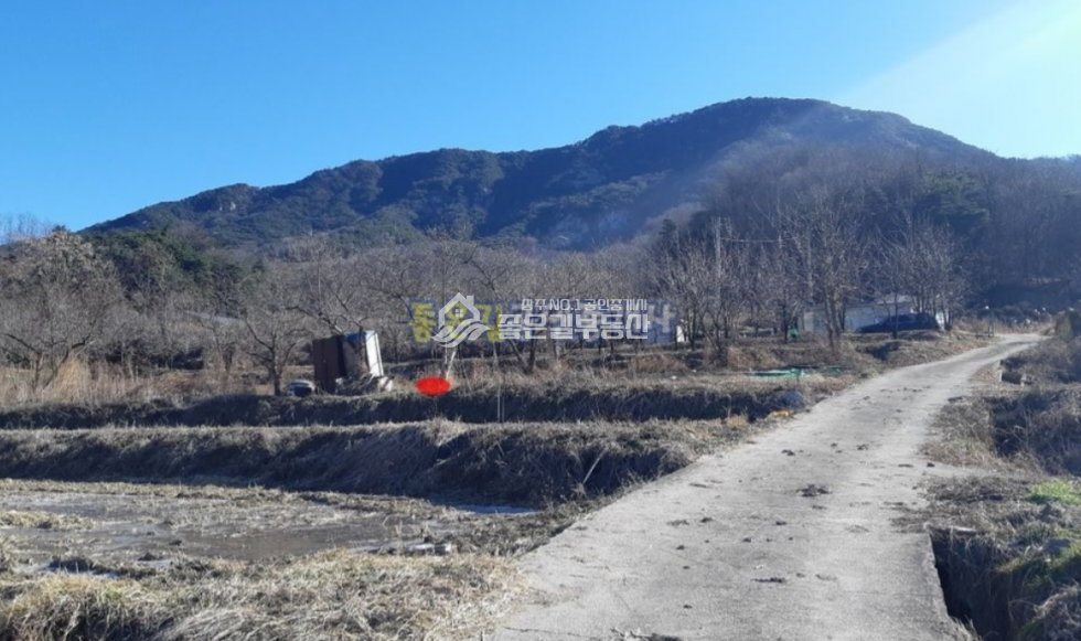 경북 상주시 낙동면 신오리 낙동면 외딴곳 계획관리 감나무밭 955평 매매 매물번호 10706 사진 7