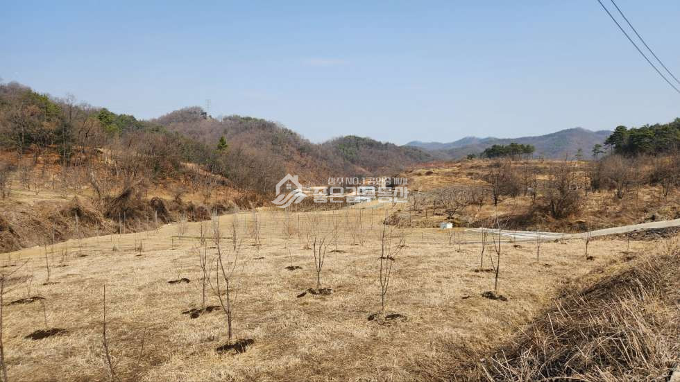 경북 상주시 외서면 연봉리 외서면 연봉리 계획관리지역 대형농지 3,076평 매매 매물번호 10609 사진 1