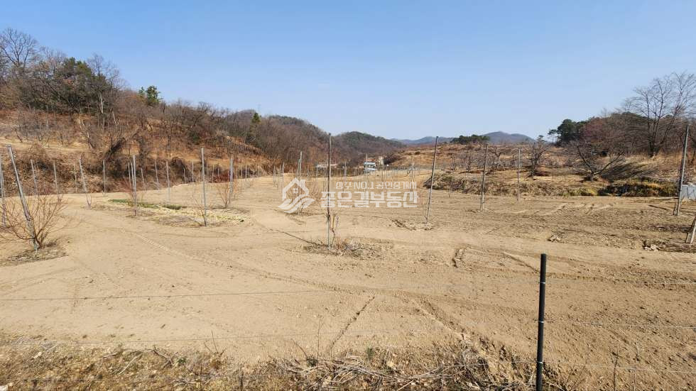 경북 상주시 외서면 연봉리 외서면 연봉리 계획관리지역 대형농지 3,076평 매매 매물번호 10609 사진 2