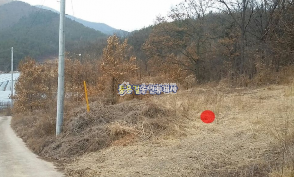 경북 상주시 모서면 화현리 모서면 화현리 계획관리 전 539평 매매 매물번호 10084 사진 6