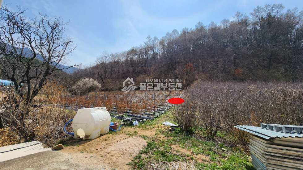 경북 상주시 모서면 백학리 모서면 백학리 계획관리 블루베리 밭 691평 매매 매물번호 10914 사진 1