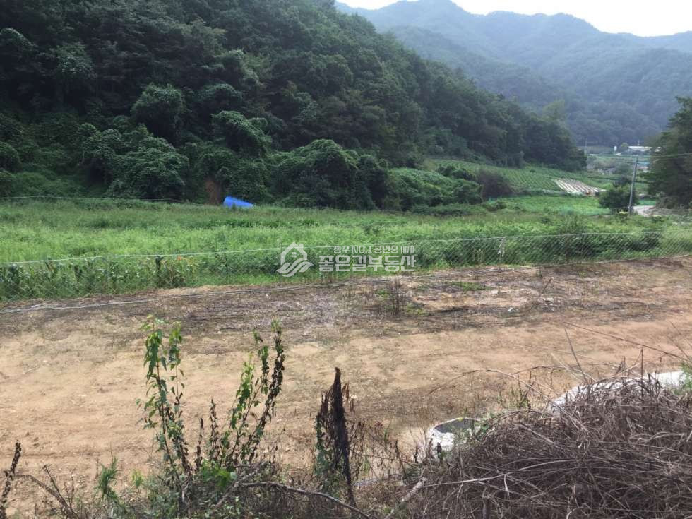 경북 영주시 평은면 오운리 229 영주시 평은면 오운리 보전관리 개발지 1,650평 매매 매물번호 10917 사진 4